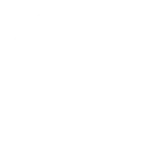 Bayer